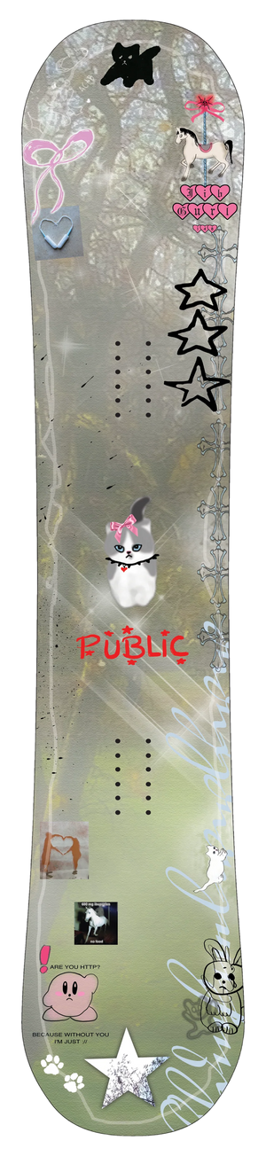 Public - Jibgurl Snowboard 2026