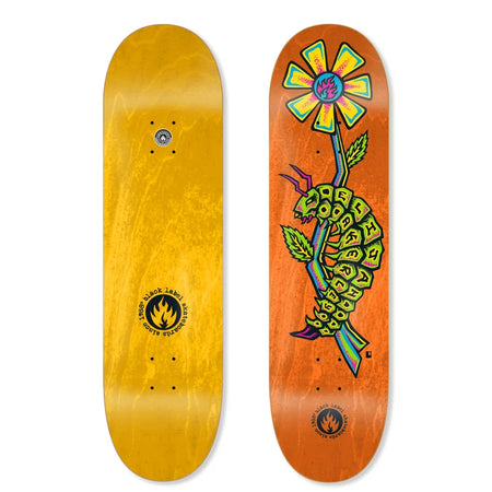 Black Label - Akerley Caterpiller 8.25" Deck - Board Of Missoula