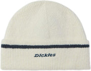 Dickies - Chalkville Beanie - White