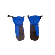 Salmon Arms - Overmitt 2 - Fish Paw Blue - Board Of Missoula