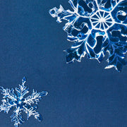 Forum - JP Walker Legend Series Snowboard 2026