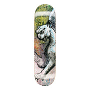 GX1000 - Hail Storm Carlyle 8.125" Deck - Board Of Missoula