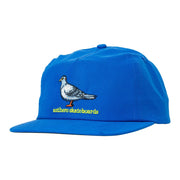 Antihero - Lil Pigeon Snapback Hat - Blue / Yellow