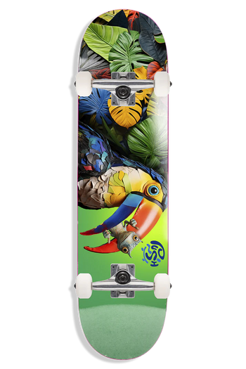 Push - Toucan FP Soft Top Complete 7.25" - Board Of Missoula