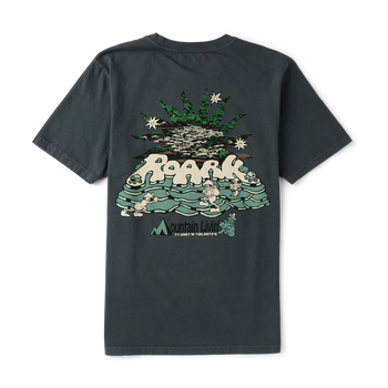 Roark - Mountain Living T-Shirt - Charcoal - Board Of Missoula