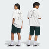 Adidas - Gonz Shorts - Aurora Ivy - Board Of Missoula