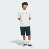 Adidas - Gonz Shorts - Aurora Ivy - Board Of Missoula