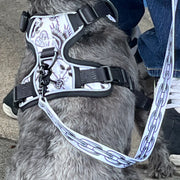 Party Animal - Tim Hendricks Chain Leash